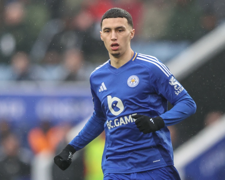 天空體育：水晶宮接近3200萬鎊敲定埃爾哈努斯，同時在考慮迪布林